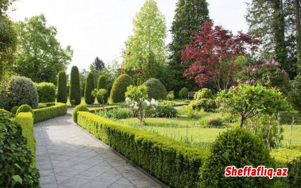 Bakıda “Özbəkistan” parkı salınacaq Bakıda “Özbəkistan” parkı salınacaq