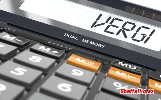 Naxçıvanda vergi daxilolmaları 23 %-ə yaxın artıb