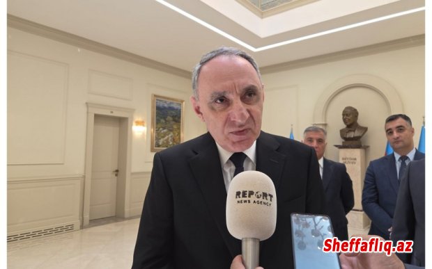 Kamran Əliyev: Yekaterinburqda iki azərbaycanlının işgəncə ilə öldürülməsinə dair faktları Rusiya İstintaq Komitəsinə təqdim etmişik