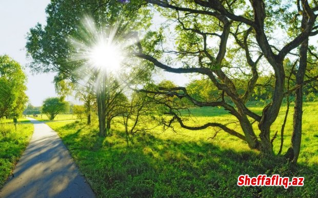 Gələn ayın ilk ongünlüyündə hava yağmursuz olacaq Gələn ayın ilk ongünlüyündə hava yağmursuz olacaq