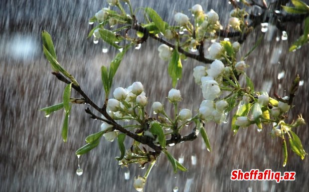 Sabah bəzi yerlərdə yağış yağacaq Sabah bəzi yerlərdə yağış yağacaq