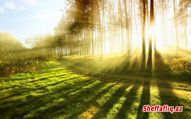 İyulun ilk ongünlüyündə temperatur ötən ilə görə 3-8 dərəcə aşağı olacaq İyulun ilk ongünlüyündə temperatur ötən ilə görə 3-8 dərəcə aşağı olacaq