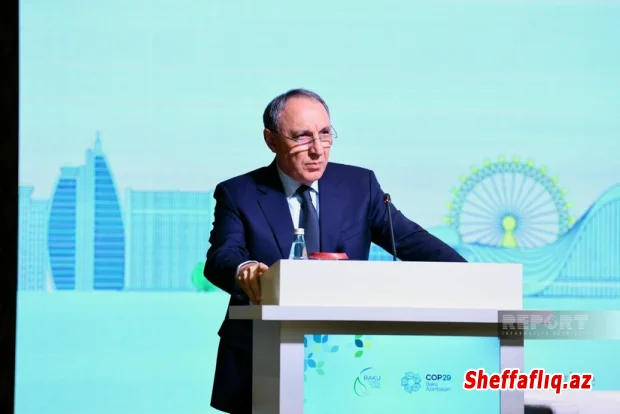 Baş prokuror: Heç bir ölkə ətraf mühitlə bağlı problemləri təkbaşına həll edə bilməz