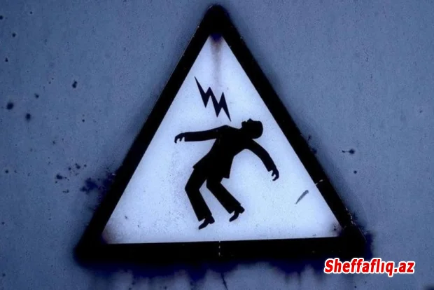 Siyəzən sakini və ona məxsus altı baş inəyi elektrik cərəyanı vurub