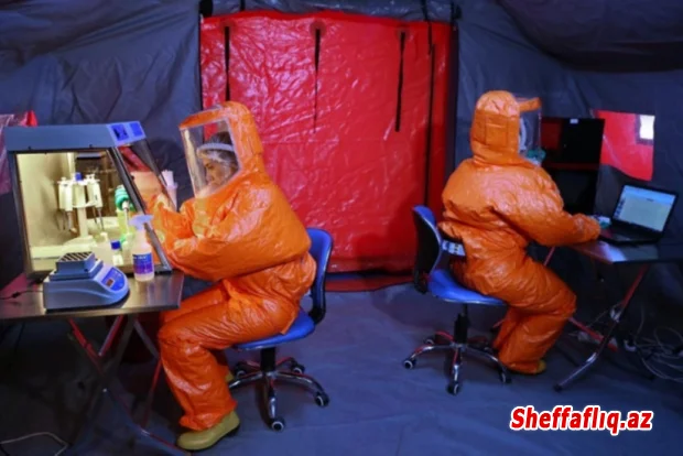 Quş qripi xəstəliyinə qarşı epizootoloji monitorinq keçiriləcək