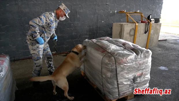 Gömrükdə qara bazarda dəyəri 90 milyon dollardan çox olan heroin aşkarlanıb Gömrükdə qara bazarda dəyəri 90 milyon dollardan çox olan heroin aşkarlanıb