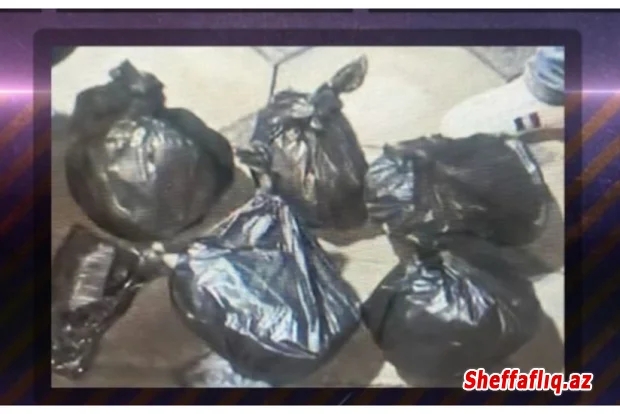 Baş İdarə əməliyyat keçirib, 6 nəfər saxlanılıb, 21 kq marixuana aşkarlanıb Baş İdarə əməliyyat keçirib, 6 nəfər saxlanılıb, 21 kq marixuana aşkarlanıb