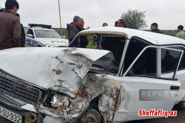 Cəlilabadda avtomobil atı vuraraq öldürüb