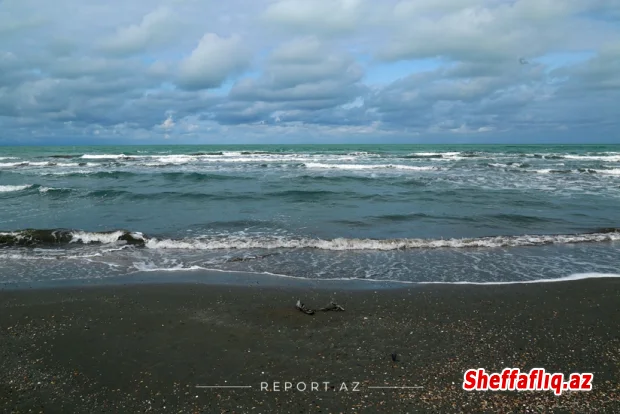 Xəzərdə ekoloji fəlakətin qarşısının alınması üçün vəsait ayrılması təklif olunur