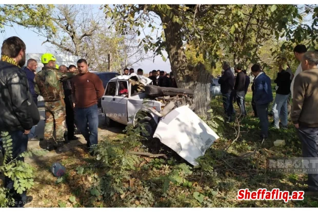 Qubada avtomobili ağaca çırpılıb, ölən və yaralanan var Qubada avtomobili ağaca çırpılıb, ölən və yaralanan var