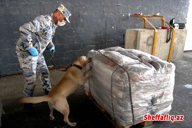 ABŞ səfirliyi: Azərbaycana 90 milyon dollarlıq heroin aşkarlamağa kömək edən texnika vermişik