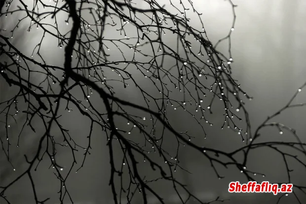 Sabah bəzi yerlərdə çiskin olacaq - PROQNOZ