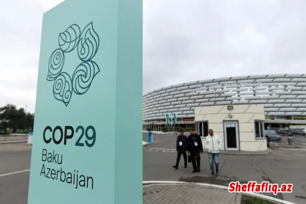 COP29 Azərbaycan Əməliyyat Şirkəti ləğv edilib
