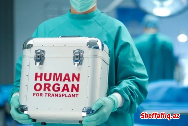 Ötən il Azərbaycanda 10-a yaxın meyitin orqanları başqasına köçürülüb