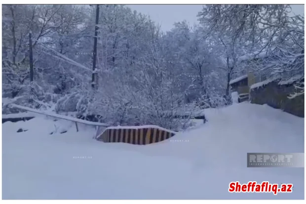 Naxçıvanda qar örtüyünün qalınlığı 56 sm-ə çatıb