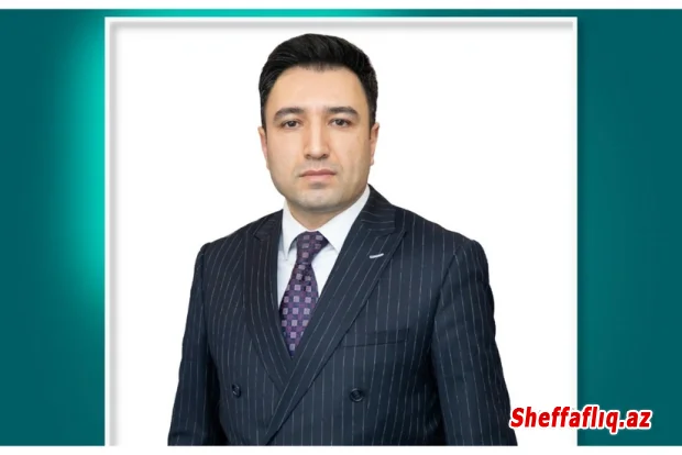 Dövlət Məşğulluq Agentliyinə yeni sədr müavini təyin edilib