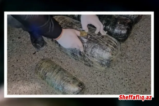 Neftçalada 20 kiloqram narkotik vasitə aşkarlanıb