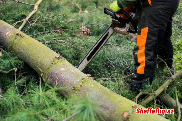 Ötən il ekoloji hüquqpozmalarla bağlı 3 milyon manatdan çox cərimə tətbiq edilib