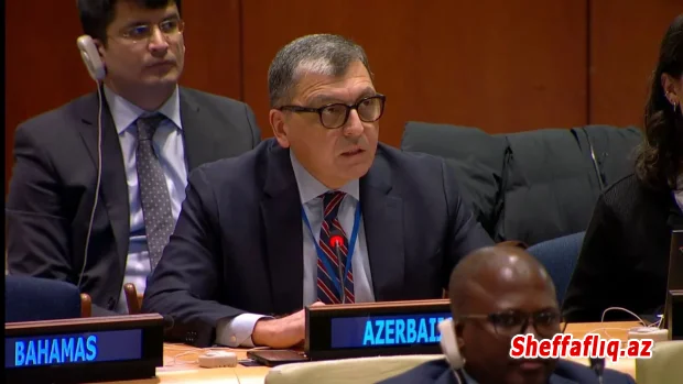 Azərbaycan miqrasiya marşrutları boyunca artan ölüm hallarından narahatdır