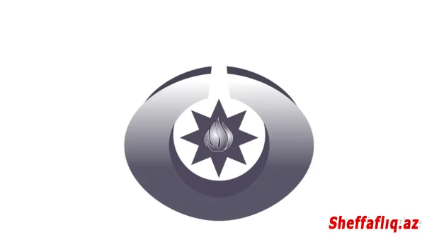 Ombudsman 2025-ci il üzrə məruzəsini Prezidentə təqdim edib