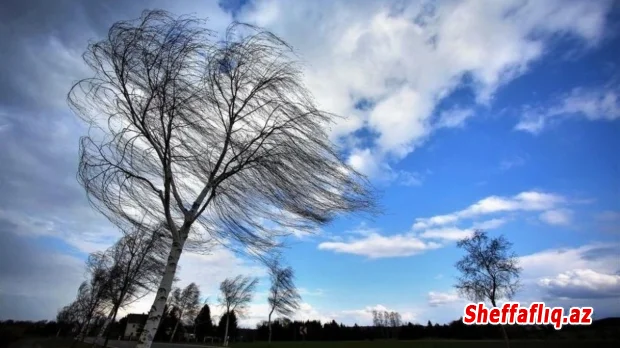 Güclü şimal-qərb küləyi səhər saatlarından zəifləyib