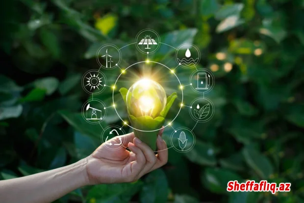 Enerji effektivliyi fondunun maliyyələşdirdiyi layihələrə dair tələblər təsdiqlənib