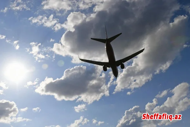 İndoneziyada naməlum şəxslər təyyarəyə silahlı hücum edib, pilotlar ölüb