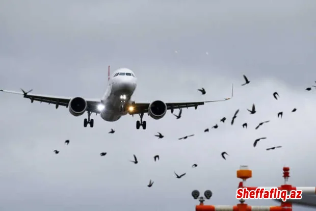 İtaliya Rusiya nümayəndə heyətini Cenevrəyə aparan təyyarənin keçidinə icazə verib