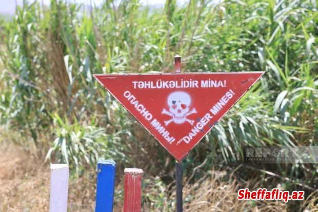 Ötən həftə 670 hektara yaxın ərazi minalardan təmizlənib