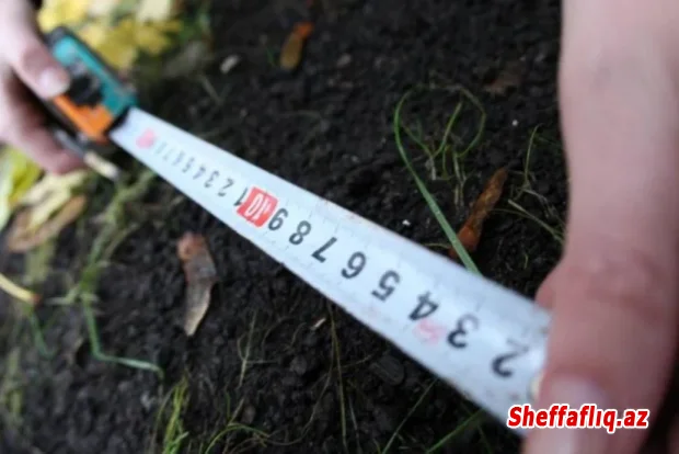 MM dövlət ehtiyacları üçün torpaq alınmasının əsaslarının genişləndirilməsini I oxunuşda qəbul edib