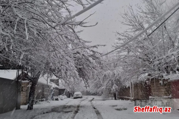 Cəlilabad və Biləsuvarda güclü qar fəsadlar yaradıb, 19 kənd işıqsız qalıb