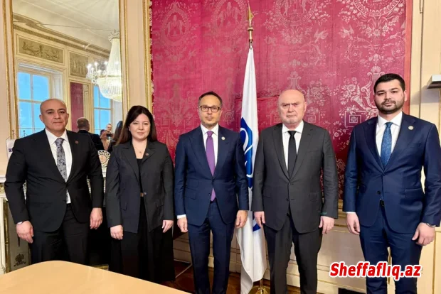 Ramil Həsən ATƏT-in Baş katibi ilə görüşüb