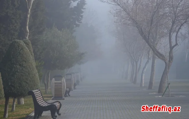 Sabah hava çiskinli olacaq