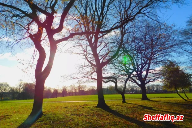 Sabah havanın temperaturu 18 dərəcəyədək yüksələcək