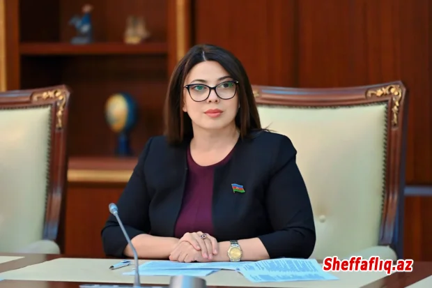 Milli Məclisin deputatı QDİƏT PA-nın Sosial məsələlər və humanitar siyasət komitəsinin sədr müavini seçilib