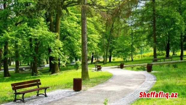 Azad edilən ərazilərdə 90 min hektarlıq milli park yaradılır