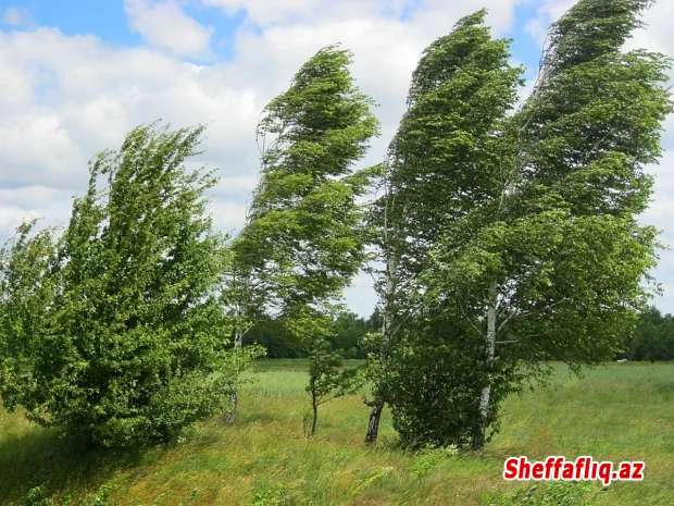 Sabah güclü külək əsəcək - XƏBƏRDARLIQ Sabah güclü külək əsəcək - XƏBƏRDARLIQ