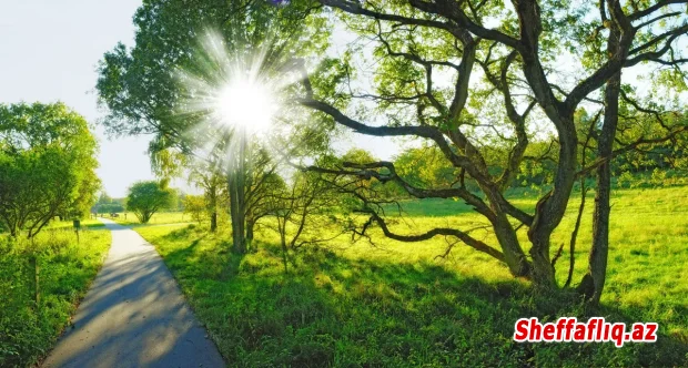 Bakıda 34, rayonlarda 38 dərəcə isti olacaq Bakıda 34, rayonlarda 38 dərəcə isti olacaq