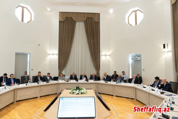 İşğaldan azad edilmiş ərazilərdə ümumi gücü 8 000 kVt-dan çox olan günəş panelləri quraşdırılıb